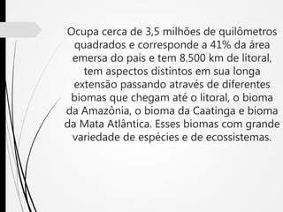 Ocupa cerca de 3,5 milhões de quilômetros
quadrados e corresponde a 41% da área
emersa do país e tem 8.500 km de litoral,
tem aspectos distintos em sua longa
extensão passando através de diferentes
biomas que chegam até o litoral, o bioma
da Amazônia, o bioma da Caatinga e bioma
da Mata Atlântica. Esses biomas com grande
variedade de espécies e de ecossistemas.
 