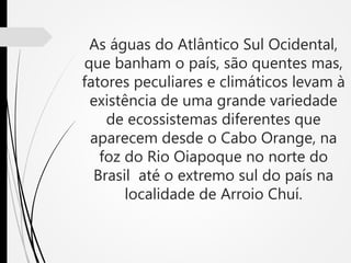 As águas do Atlântico Sul Ocidental,
que banham o país, são quentes mas,
fatores peculiares e climáticos levam à
existência de uma grande variedade
de ecossistemas diferentes que
aparecem desde o Cabo Orange, na
foz do Rio Oiapoque no norte do
Brasil até o extremo sul do país na
localidade de Arroio Chuí.
 