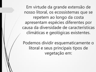 Em virtude da grande extensão de
nosso litoral, os ecossistemas que se
repetem ao longo da costa
apresentam espécies diferentes por
causa da diversidade de características
climáticas e geológicas existentes.
Podemos dividir esquematicamente o
litoral e seus principais tipos de
vegetação em:
 