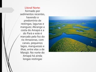 Litoral Norte:
formado por
sedimentos recentes,
havendo o
predomínio de
restingas, lagunas e
mangues; Abrange a
costa do Amapá e a
do Pará e este é
marcado pela foz do
rio Amazonas, com
canais, pequenos
lagos, manguezais e
ilhas, entre elas a de
Marajó. No norte do
Amapá há ainda
longas restingas
 