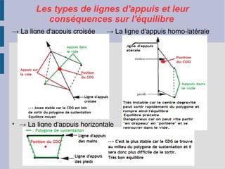 Les types de lignes d'appuis et leur
conséquences sur l'équilibre
→ La ligne d'appuis croisée → La ligne d'appuis homo-latérale 

→ La ligne d'appuis horizontale  
 