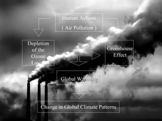 Human Actions ( Air Pollution ) Depletion of the Ozone Layer  Greenhouse Effect Global Warming Change in Global Climate Patterns 
