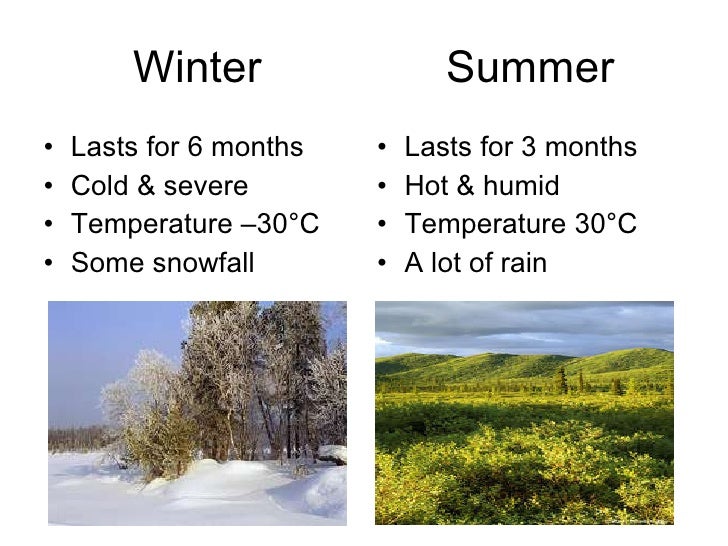 IB Geography Ecosystems. Biomes Taiga aka Coniferous forest