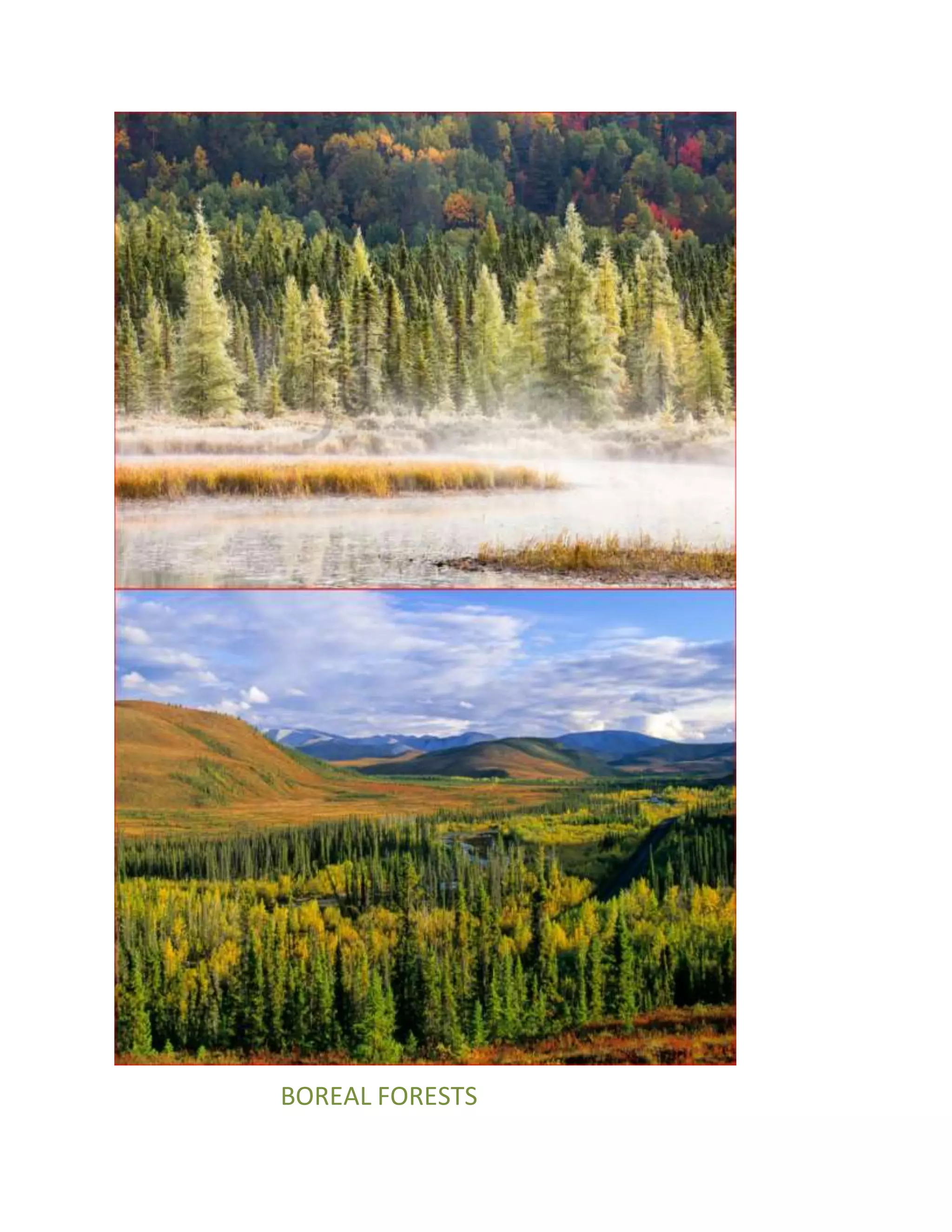 DIFFERENT BIOMES HABITATES