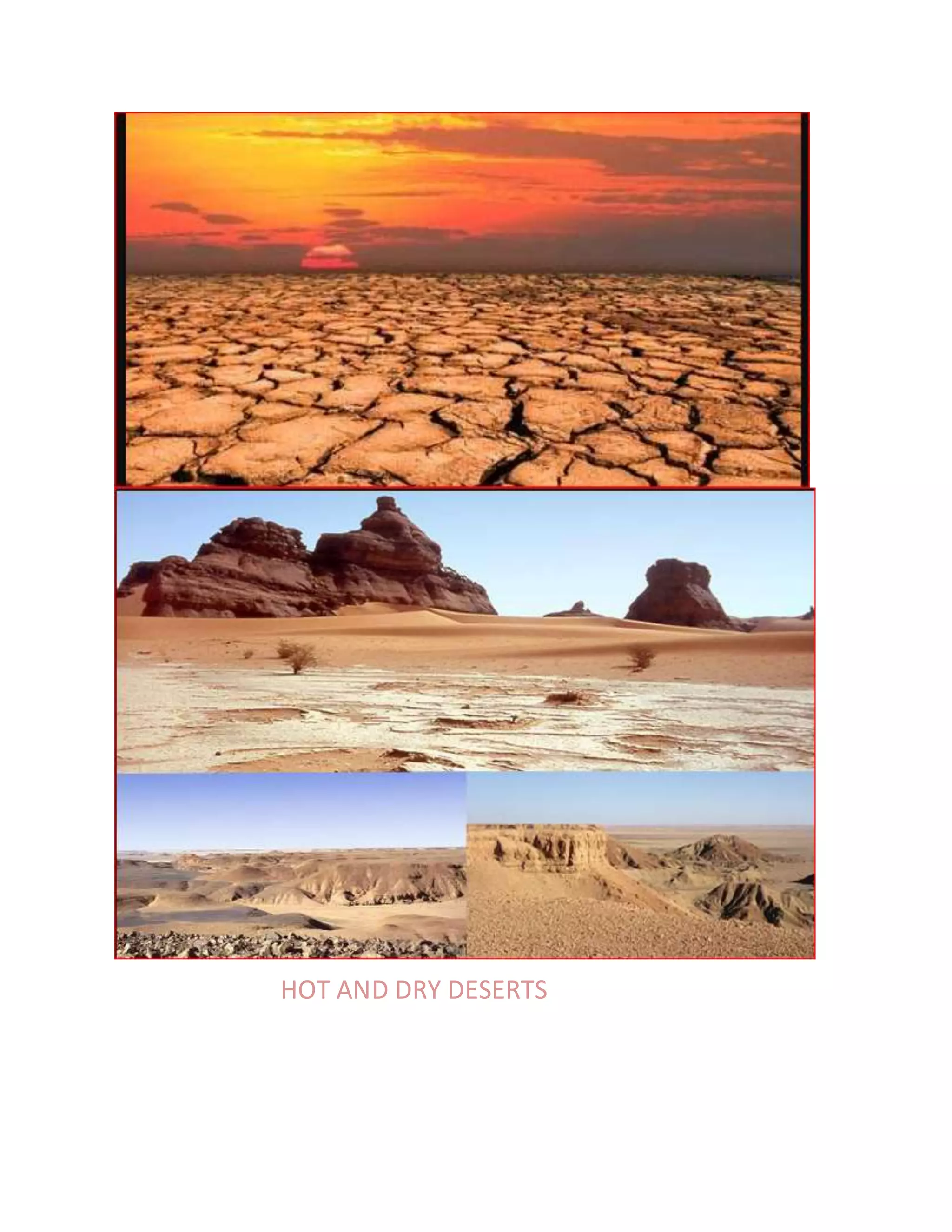 DIFFERENT BIOMES HABITATES