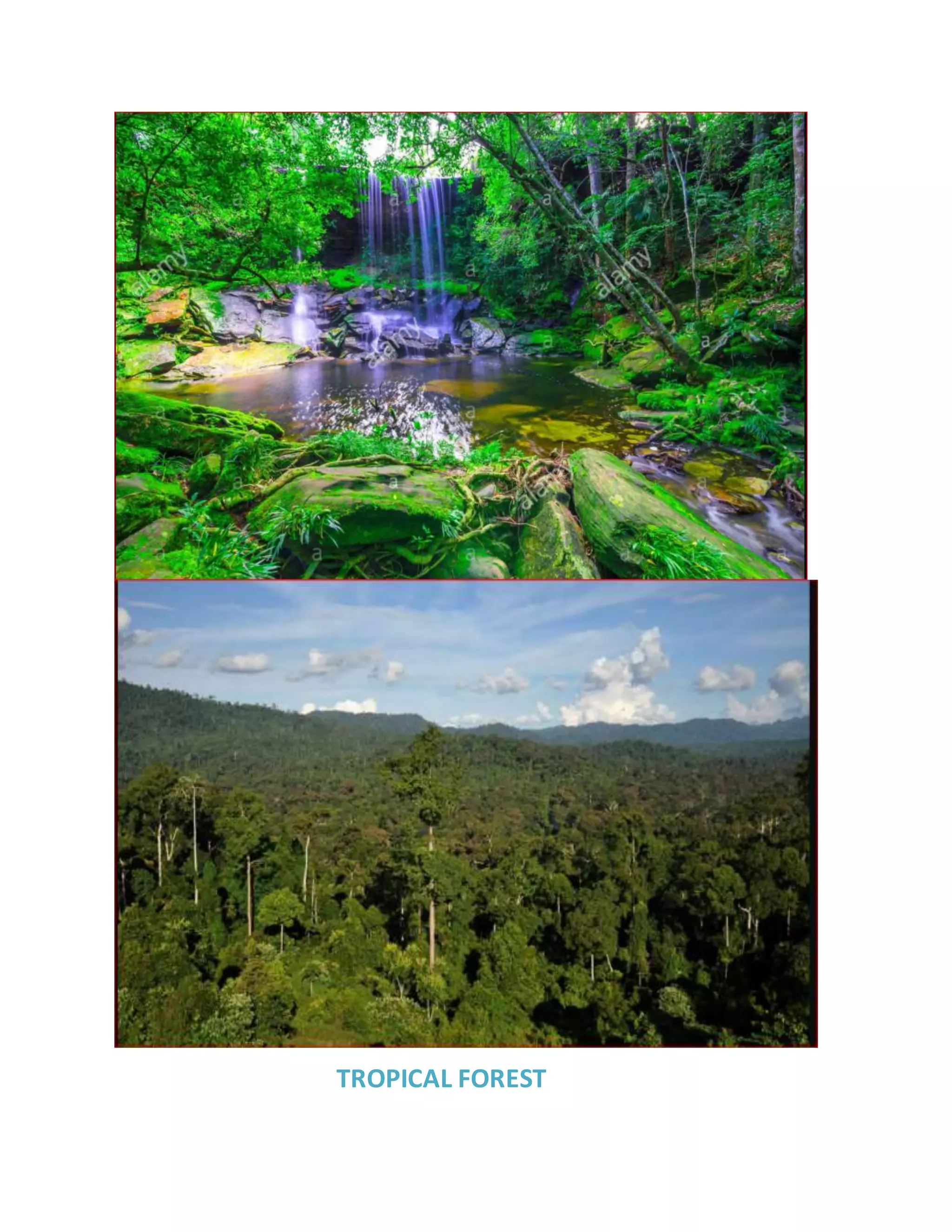 DIFFERENT BIOMES HABITATES