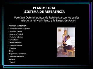 PLANIMETRIA  SISTEMA DE REFERENCIA Permiten Obtener puntos de Referencia con los cuales relacionar el Movimiento y la Líneas de Acción POSICIÓN ANATÓMICA Superior Craneal o Cefálico Inferior o Caudal Anterior o Ventral Posterior o Dorsal Línea Media  Medial o Interna Lateral o externa  Proximal  Distal  Superficial o periférica Profundo o Central  Parietal  Viseral 