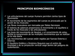 PRINCIPIOS BIOMECÁNICOS Las articulaciones del cuerpo Humano permiten ciertos tipos de Movimiento  El movimiento de los segmentos del cuerpo es provocado por la acción de los músculos  Las fibras musculares son inervadas por filetes Nerviosos El sistema de palancas proporciona el movimiento y el equilibrio a través de los músculos y las articulaciones  Las leyes del movimiento de Newton, y el conocimiento de estas, facilita la comprensión de los múltiples movimientos que se realizan en la vida diaria  Los movimientos del cuerpo están regidos por fuerzas Externa e Internas El Equilibrio Estático y Dinámico Requiere que el centro de Gravedad o de su proyección vertical caiga dentro del polígono de sustentación. 
