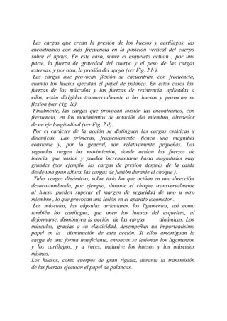Las cargas que crean la presión de los huesos y cartílagos, las
encontramos con más frecuencia en la posición vertical del cuerpo
sobre el apoyo. En este caso, sobre el esqueleto actúan , por una
parte, la fuerza de gravedad del cuerpo y el peso de las cargas
externas, y por otra, la presión del apoyo (ver Fig. 2 b ).
 Las cargas que provocan flexión se encuentran, con frecuencia,
cuando los huesos ejecutan el papel de palanca. En estos casos las
fuerzas de los músculos y las fuerzas de resistencia, aplicadas a
ellos, están dirigidas transversalmente a los huesos y provocan su
flexión (ver Fig. 2c).
 Finalmente, las cargas que provocan torsión las encontramos, con
frecuencia, en los movimientos de rotación del miembro, alrededor
de un eje longitudinal (ver Fig. 2 d).
 Por el carácter de la acción se distinguen las cargas estáticas y
dinámicas. Las primeras, frecuentemente, tienen una magnitud
constante y, por lo general, son relativamente pequeñas. Las
segundas surgen los movimientos, donde actúan las fuerzas de
inercia, que varían y pueden incrementarse hasta magnitudes muy
grandes (por ejemplo, las cargas de presión después de la caída
desde una gran altura, las cargas de flexi6n durante el choque ).
 Tales cargas dinámicas, sobre todo las que actúan en una dirección
desacostumbrada, por ejemplo, durante el choque transversalmente
al hueso pueden superar el margen de seguridad de uno u otro
miembro , lo que provocan una lesión en el aparato locomotor .
 Los músculos, las cápsulas articulares, los ligamentos, así como
también los cartílagos, que unen los huesos del esqueleto, al
deformarse, disminuyen la acción de las cargas              dinámicas. Los
músculos, gracias a su elasticidad, desempeñan un importantísimo
papel en la disminución de esta acción. Si ellos amortiguan la
carga de una forma insuficiente, entonces se lesionan los ligamentos
y los cartílagos, y a veces, inclusive los huesos y los músculos
mismos.
Los huesos, como cuerpos de gran rigidez, durante la transmisión
de las fuerzas ejecutan el papel de palancas.
 