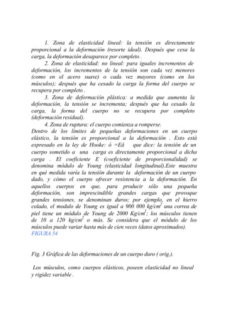 1. Zona de elasticidad lineal: la tensión es directamente
proporcional a la deformación (resorte ideal). Después que cesa la
carga, la deformación desaparece por completo .
      2. Zona de elasticidad: no lineal: para iguales incrementos de
deformación, los incrementos de la tensión son cada vez menores
(como en el acero suave) o cada vez mayores (como en los
músculos); después que ha cesado la carga la forma del cuerpo se
recupera por completo .
      3. Zona de deformación plástica: a medida que aumenta la
deformación, la tensión se incrementa; después que ha cesado la
carga, la forma del cuerpo no se recupera por completo
(deformación residual).
      4. Zona de ruptura: el cuerpo comienza a romperse.
Dentro de los límites de pequeñas deformaciones en un cuerpo
elástico, la tensión es proporcional a la deformación . Esto está
expresado en la ley de Hooke: ó =Eå         que dice: la tensión de un
cuerpo sometido a una carga es directamente proporcional a dicha
carga . El coeficiente E (coeficiente de proporcionalidad) se
denomina módulo de Young (elasticidad longitudinal).Este muestra
en qué medida varía la tensión durante la deformación de un cuerpo
dado, y cómo el cuerpo ofrecer resistencia a la deformación. En
aquellos cuerpos en que, para producir sólo una pequeña
deformación, son imprescindible grandes cargas que provoque
grandes tensiones, se denominan duros; por ejemplo, en el hierro
colado, el modulo de Young es igual a 900 000 kg/cm2 una correa de
piel tiene un módulo de Young de 2000 Kg/cm2; los músculos tienen
de 10 a 120 kg/cm2 o más. Se considera que el módulo de los
músculos puede variar hasta más de cien veces (datos aproximados).
FIGURA 54


Fig. 3 Gráfica de las deformaciones de un cuerpo duro ( orig.).

 Los músculos, como cuerpos elásticos, poseen elasticidad no lineal
y rigidez variable .
 