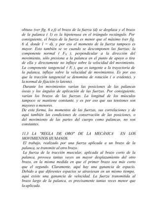 obtuso (ver fig. 6 e,f) el brazo de la fuerza (d) se desplaza y el brazo
de la palanca ( 1) es la hipotenusa en el triángulo rectángulo. Por
consiguiente, el brazo de la fuerza es menor que el máximo (ver fig.
6 d, donde l = d), y por eso el momento de la fuerza tampoco es
mayor. Esto también se ve cuando se descomponen las fuerzas: la
componente normal ( FN ), perpendicular a la dirección del
movimiento, sólo presiona a la palanca en el punto de apoyo o tira
de ella y directamente no influye sobre la velocidad del movimiento.
La componente tangencial ( Ft ), que es tangente a la trayectoria de
la palanca, influye sobre la velocidad de movimientos. Es por eso
que la tracción tangencial se denomina de rotación ( o evidente), y
la normal de fijación (o latente).
 Durante los movimientos varían las posiciones de las palancas
óseas y los ángulos de aplicación de las fuerzas. Por consiguiente,
varían los brazos de las fuerzas. La longitud de los músculos
tampoco se mantiene constante, y es por eso que sus tensiones son
mayores o menores.
De esta forma, los momentos de las fuerzas, sus correlaciones y de
aquí también las condiciones de conservación de las posiciones, o
del movimiento de las partes del cuerpo como palancas, no son
constantes.

11.3 LA "REGLA DE ORO" DE LA MECÁNICA                    EN LOS
MOVIMIENTOS HUMANOS.
 El trabajo, realizado por una fuerza aplicada a un brazo de la
palanca, se transmite al otro brazo.
 La fuerza de la tracción muscular, aplicada al brazo corto de la
palanca, provoca tantas veces un mayor desplazamiento del otro
brazo, en la misma medida en que el primer brazo sea más corto
que el segundo. Claramente, aquí hay una ganancia de espacio.
Debido a que diferentes espacios se atraviesan en un mismo tiempo,
aquí existe una ganancia de velocidad. La fuerza transmitida al
brazo largo de la palanca, es precisamente tantas veces menor que
la aplicada.
 