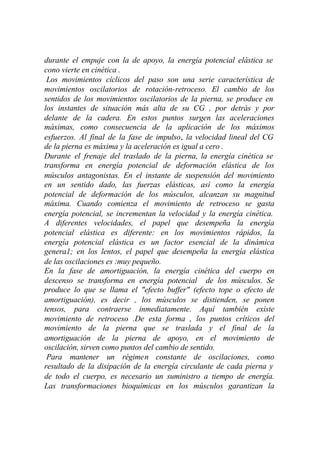 durante el empuje con la de apoyo, la energía potencial elástica se
cono vierte en cinética .
 Los movimientos cíclicos del paso son una serie característica de
movimientos oscilatorios de rotación-retroceso. El cambio de los
sentidos de los movimientos oscilatorios de la pierna, se produce en
los instantes de situación más alta de su CG , por detrás y por
delante de la cadera. En estos puntos surgen las aceleraciones
máximas, como consecuencia de la aplicación de los máximos
esfuerzos. Al final de la fase de impulso, la velocidad lineal del CG
de la pierna es máxima y la aceleración es igual a cero .
Durante el frenaje del traslado de la pierna, la energía cinética se
transforma en energía potencial de deformación elástica de los
músculos antagonistas. En el instante de suspensión del movimiento
en un sentido dado, las fuerzas elásticas, así como la energía
potencial de deformación de los músculos, alcanzan su magnitud
máxima. Cuando comienza el movimiento de retroceso se gasta
energía potencial, se incrementan la velocidad y la energía cinética.
A diferentes velocidades, el papel que desempeña la energía
potencial elástica es diferente: en los movimientos rápidos, la
energía potencial elástica es un factor esencial de la dinámica
genera1; en los lentos, el papel que desempeña la energía elástica
de las oscilaciones es :muy pequeño.
En la fase de amortiguación, la energía cinética del cuerpo en
descenso se transforma en energía potencial de los músculos. Se
produce lo que se llama el "efecto buffer" (efecto tope o efecto de
amortiguación), es decir , los músculos se distienden, se ponen
tensos, para contraerse inmediatamente. Aquí también existe
movimiento de retroceso .De esta forma , los puntos críticos del
movimiento de la pierna que se traslada y el final de la
amortiguación de la pierna de apoyo, en el movimiento de
oscilación, sirven como puntos del cambio de sentido.
 Para mantener un régimen constante de oscilaciones, como
resultado de la disipación de la energía circulante de cada pierna y
de todo el cuerpo, es necesario un suministro a tiempo de energía.
Las transformaciones bioquímicas en los músculos garantizan la
 
