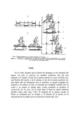 Fig 3.7




                     Vuelo

     En el vuelo, después que la pierna de despegue se ha separado del
apoyo, los pies se mueven en sentidos contrarios uno del otro
respecto a la cadera. El pie de la pierna anterior se saca al frente con
una flexión del muslo y de la pierna; el pie de la pierna posterior (la
que había sido de despegue), por el contrario, se queda rezagado con
respecto a la cadera, ya que se extiende por completo estando aún en
vuelo y su muslo se queda atrás. Como resultado se produce la
separación de los pies, en el vuelo (fase I) hasta la mayor distancia
posible entrar ellos (fig. 3.7b). El impulso de la pierna sacada al
frente es sustituido por su frenaje; y la flexión de la pierna en la
articulación de la rodilla, por su extensión al frente (fig. 3.8).
 