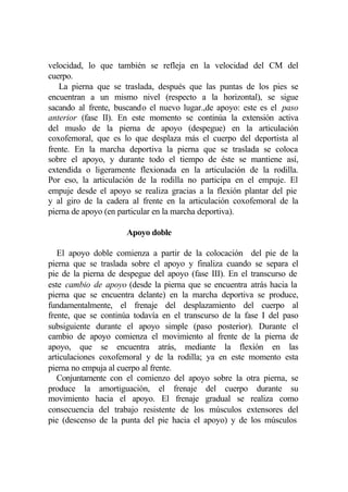velocidad, lo que también se refleja en la velocidad del CM del
cuerpo.
   La pierna que se traslada, después que las puntas de los pies se
encuentran a un mismo nivel (respecto a la horizontal), se sigue
sacando al frente, buscando el nuevo lugar.,de apoyo: este es el paso
anterior (fase II). En este momento se continúa la extensión activa
del muslo de la pierna de apoyo (despegue) en la articulación
coxofemoral, que es lo que desplaza más el cuerpo del deportista al
frente. En la marcha deportiva la pierna que se traslada se coloca
sobre el apoyo, y durante todo el tiempo de éste se mantiene así,
extendida o ligeramente flexionada en la articulación de la rodilla.
Por eso, la articulación de la rodilla no participa en el empuje. El
empuje desde el apoyo se realiza gracias a la flexión plantar del pie
y al giro de la cadera al frente en la articulación coxofemoral de la
pierna de apoyo (en particular en la marcha deportiva).

                     Apoyo doble

   El apoyo doble comienza a partir de la colocación del pie de la
pierna que se traslada sobre el apoyo y finaliza cuando se separa el
pie de la pierna de despegue del apoyo (fase III). En el transcurso de
este cambio de apoyo (desde la pierna que se encuentra atrás hacia la
pierna que se encuentra delante) en la marcha deportiva se produce,
fundamentalmente, el frenaje del desplazamiento del cuerpo al
frente, que se continúa todavía en el transcurso de la fase I del paso
subsiguiente durante el apoyo simple (paso posterior). Durante el
cambio de apoyo comienza el movimiento al frente de la pierna de
apoyo, que se encuentra atrás, mediante la flexión en las
articulaciones coxofemoral y de la rodilla; ya en este momento esta
pierna no empuja al cuerpo al frente.
   Conjuntamente con el comienzo del apoyo sobre la otra pierna, se
produce la amortiguación, el frenaje del cuerpo durante su
movimiento hacia el apoyo. El frenaje gradual se realiza como
consecuencia del trabajo resistente de los músculos extensores del
pie (descenso de la punta del pie hacia el apoyo) y de los músculos
 
