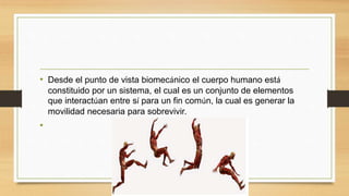• Desde el punto de vista biomecánico el cuerpo humano está
constituido por un sistema, el cual es un conjunto de elementos
que interactúan entre sí para un fin común, la cual es generar la
movilidad necesaria para sobrevivir.
•
 
