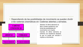 • Dependiendo de las posibilidades de movimiento se pueden dividir
a las cadenas cinemáticas en: Cadenas abiertas y cerradas.
- Abiertas: El último elemento es
libre o posee resistencia, que
limita las posibilidades de
movimiento no lo impide.
- Cerrado: El último elemento se
enfrenta una resistencia absoluta,
la que no puede ser vencida e
impide su movimiento.
 