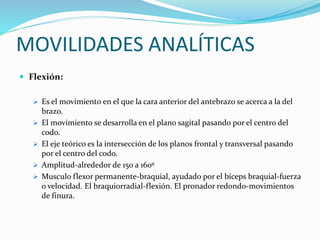 MOVILIDADES ANALÍTICAS
 Flexión:
 Es el movimiento en el que la cara anterior del antebrazo se acerca a la del
brazo.
 El movimiento se desarrolla en el plano sagital pasando por el centro del
codo.
 El eje teórico es la intersección de los planos frontal y transversal pasando
por el centro del codo.
 Amplitud-alrededor de 150 a 160º
 Musculo flexor permanente-braquial, ayudado por el bíceps braquial-fuerza
o velocidad. El braquiorradial-flexión. El pronador redondo-movimientos
de finura.
 