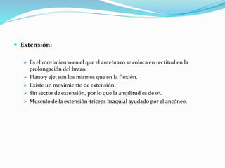  Extensión:
 Es el movimiento en el que el antebrazo se coloca en rectitud en la
prolongación del brazo.
 Plano y eje; son los mismos que en la flexión.
 Existe un movimiento de extensión.
 Sin sector de extensión, por lo que la amplitud es de 0º.
 Musculo de la extensión-tríceps braquial ayudado por el ancóneo.
 