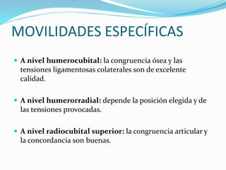 MOVILIDADES ESPECÍFICAS
 A nivel humerocubital: la congruencia ósea y las
tensiones ligamentosas colaterales son de excelente
calidad.
 A nivel humerorradial: depende la posición elegida y de
las tensiones provocadas.
 A nivel radiocubital superior: la congruencia articular y
la concordancia son buenas.
 