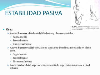 ESTABILIDAD PASIVA
 Ósea
 A nivel humerocubital-estabilidad osea-3 planos espaciales.
• Sagitalmente
• Frontalmente
• transversalmente
 A nivel humerorradial-contacto no constante-interlinea no estable en plano
óseo.
• Sagitalmente
• Frontalmente
• Transversalmente
 A nivel radiocubital superior-concordancia de superficies-no ocurre a nivel
inferior
 