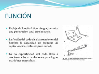 FUNCIÓN
 Reglaje de longitud tipo bisagra, permite
una penetración total en el espacio.
 La flexión del codo da a las rotaciones del
hombro la capacidad de asegurar las
captaciones laterales de proximidad.
 La no especificidad del codo lleva a
asociarse a las articulaciones para lograr
maniobras especificas.
 