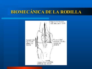 BIOMECÁNICA DE LA RODILLA 