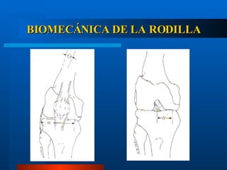 BIOMECÁNICA DE LA RODILLA 