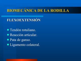 BIOMECÁNICA DE LA RODILLA FLEXOEXTENSIÓN Tendón rotuliano. Reacción articular. Pata de ganso. Ligamento colateral. 