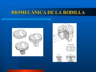 BIOMECÁNICA DE LA RODILLA 