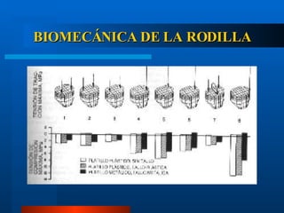 BIOMECÁNICA DE LA RODILLA 