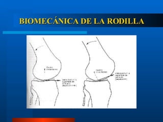 BIOMECÁNICA DE LA RODILLA 