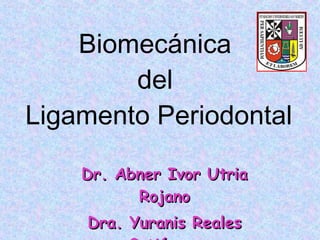 Biomecánica  del  Ligamento Periodontal Dr. Abner Ivor Utria Rojano Dra. Yuranis Reales Gutiérrez 