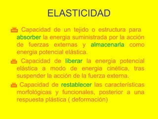 ELASTICIDAD
 Capacidad de un tejido o estructura para
absorber la energia suministrada por la acción
de fuerzas externas y almacenarla como
energia potencial elástica.
 Capacidad de liberar la energia potencial
elástica a modo de energia cinética, tras
suspender la acción de la fuerza externa.
 Capacidad de restablecer las características
morfológicas y funcionales, posterior a una
respuesta plástica ( deformación)

 