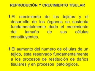 REPRODUCIÓN Y CRECIMIENTO TISULAR

El crecimiento de los tejidos y el
desarrollo de los órganos se sustenta
fundamentalmente dado el crecimiento
del
tamaño
de
sus
células
constituyentes.
El aumento del numero de células de un
tejido, esta reservado fundamentalmente
a los procesos de restitución de daños
tisulares y en procesos patológicos.

 
