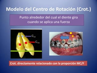 Modelo del Centro de Rotación (Crot.)
       Punto alrededor del cual el diente gira
           cuando se aplica una fuerza

                                                CRot.
                                                CR.




 Crot. directamente relacionado con la proporción MC/F
 