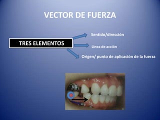 VECTOR DE FUERZA

                      Sentido/dirección

TRES ELEMENTOS        Línea de acción

                 Origen/ punto de aplicación de la fuerza
 