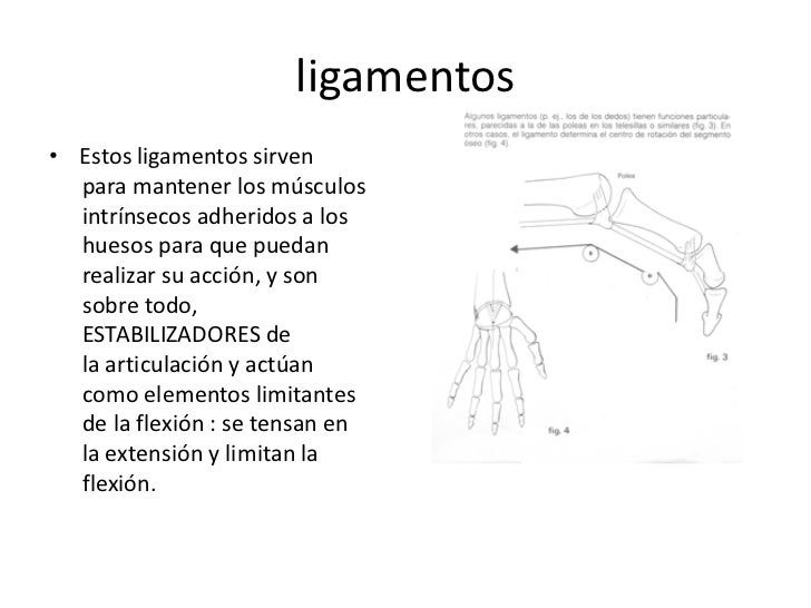 Para Que Sirven Los Espacios Vectoriales