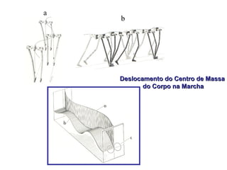 Deslocamento do Centro de MassaDeslocamento do Centro de Massa
do Corpo na Marchado Corpo na Marcha
a
b
 