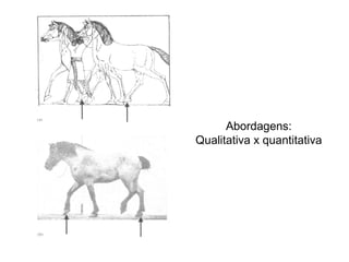 Abordagens:
Qualitativa x quantitativa
 