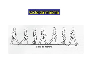 Ciclo da marcha
 