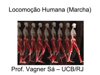 Locomoção Humana (Marcha)
Prof. Vagner Sá – UCB/RJ
 