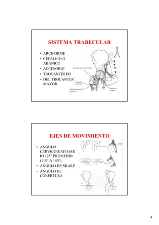 SISTEMA TRABECULAR
 • ARCIFORME
 • CEFÁLICO O
   ABANICO
 • ACCESORIO
 • TROCANTÉREO
 • DEL TROCANTER
   MAYOR




      EJES DE MOVIMIENTO
• ANGULO
  CERVICODIAFISIAR
  IO 125° PROMEDIO
  (115° A 140°).
• ANGULO DE SHARP
• ANGULO DE
  COBERTURA




                           4
 