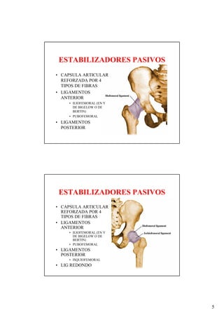 ESTABILIZADORES PASIVOS
• CAPSULA ARTICULAR
  REFORZADA POR 4
  TIPOS DE FIBRAS
• LIGAMENTOS
  ANTERIOR
    • ILIOFEMORAL (EN Y
      DE BIGELOW O DE
      BERTIN)
    • PUBOFEMORAL
• LIGAMENTOS
  POSTERIOR




 ESTABILIZADORES PASIVOS
• CAPSULA ARTICULAR
  REFORZADA POR 4
  TIPOS DE FIBRAS
• LIGAMENTOS
  ANTERIOR
    • ILIOFEMORAL (EN Y
      DE BIGELOW O DE
      BERTIN)
    • PUBOFEMORAL
• LIGAMENTOS
  POSTERIOR
    • ISQUIOFEMORAL
• LIG REDONDO




                           5
 