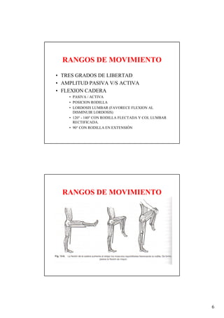 RANGOS DE MOVIMIENTO
• TRES GRADOS DE LIBERTAD
• AMPLITUD PASIVA V/S ACTIVA
• FLEXION CADERA
    • PASIVA / ACTIVA
    • POSICION RODILLA
    • LORDOSIS LUMBAR (FAVORECE FLEXION AL
      DISMINUIR LORDOSIS)
    • 120° - 140° CON RODILLA FLECTADA Y COL LUMBAR
      RECTIFICADA.
    • 90° CON RODILLA EN EXTENSIÓN




  RANGOS DE MOVIMIENTO




                                                      6
 