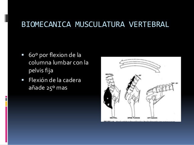 PDF) Biomec nica de la columna