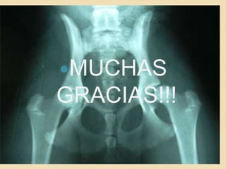 MUCHAS GRACIAS!!!