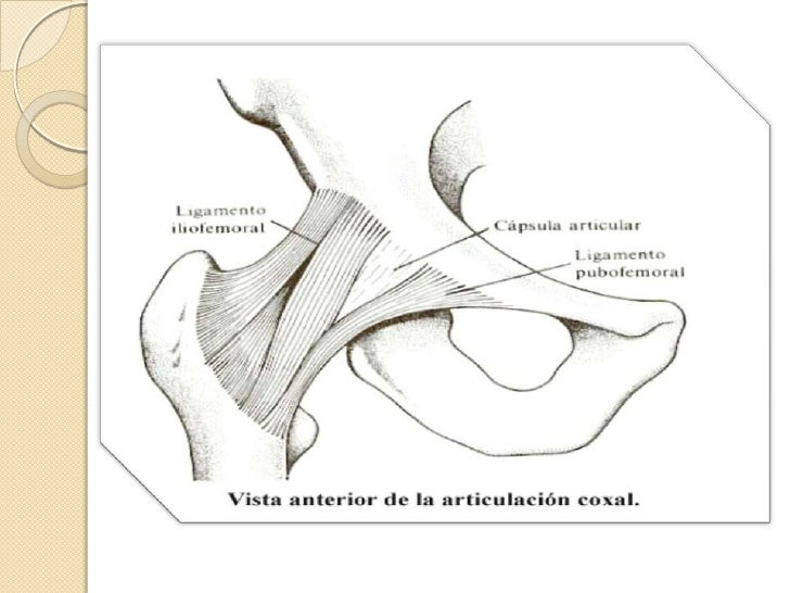 Biomecanica de la cadera