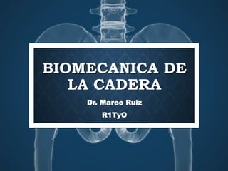 BIOMECANICA DE
LA CADERA
Dr. Marco Ruiz
R1TyO
 