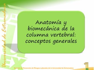 Servicio de Prevención de Riesgos Laborales de la Universidad de Extremadura
Anatomía y
biomecánica de la
columna vertebral:
conceptos generales
 