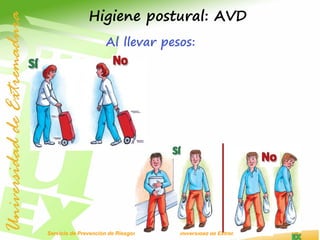 Servicio de Prevención de Riesgos Laborales de la Universidad de Extremadura
Al llevar pesos:
Higiene postural: AVD
 